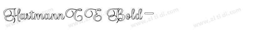 HartmannCE Bold字体转换
